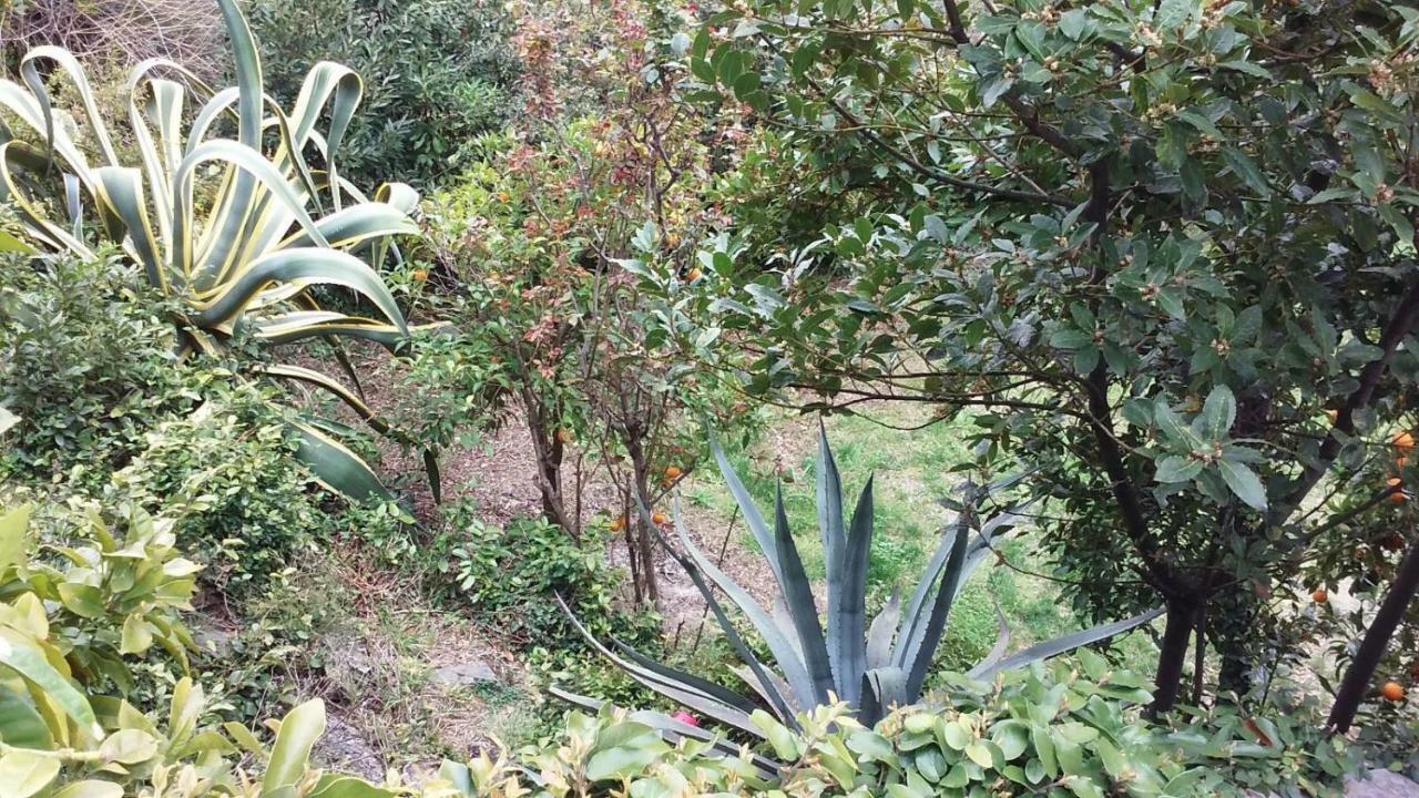 Il Capriolo Bed & Breakfast Celle Ligure Exterior photo
